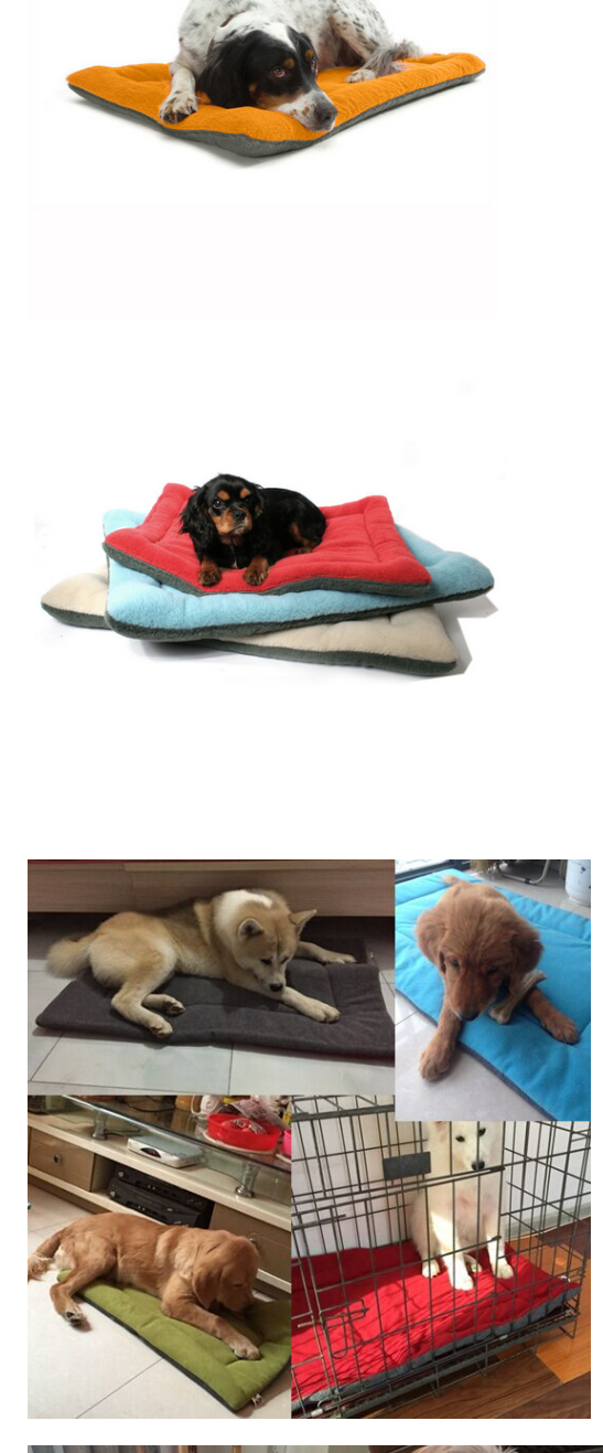 Pet Mat Image 2