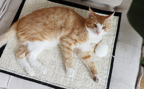 Sisal Cat Mat 1