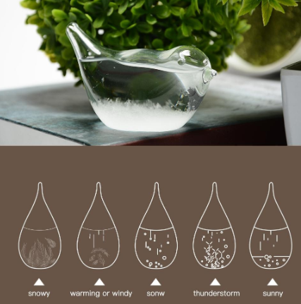 Decorative Weather Bottle