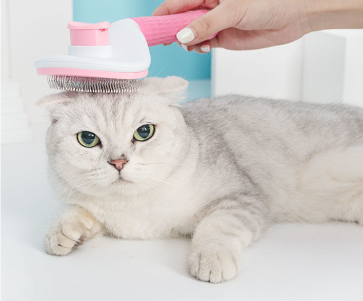 Durable Dog and Cat Hair Removal Brush Image 4