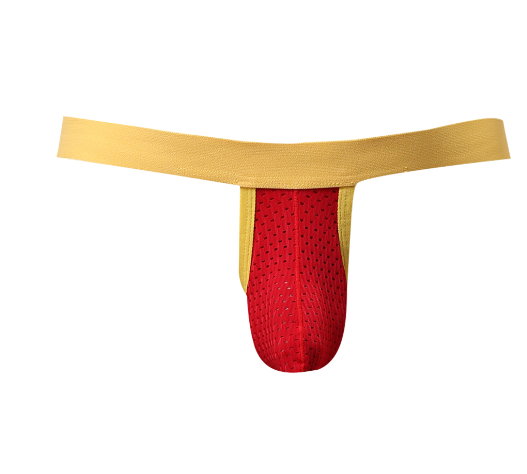 Thong Image 3