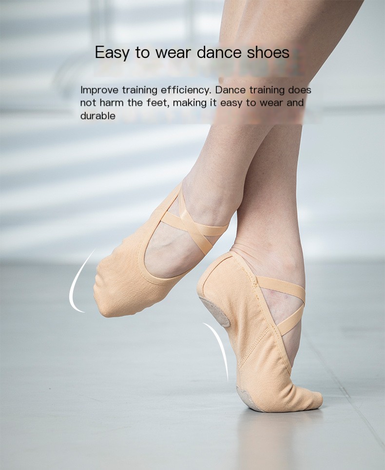Ballet Shoes Image