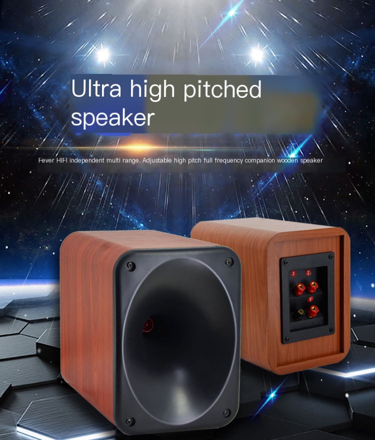 Elegant Design of Wooden Speakers