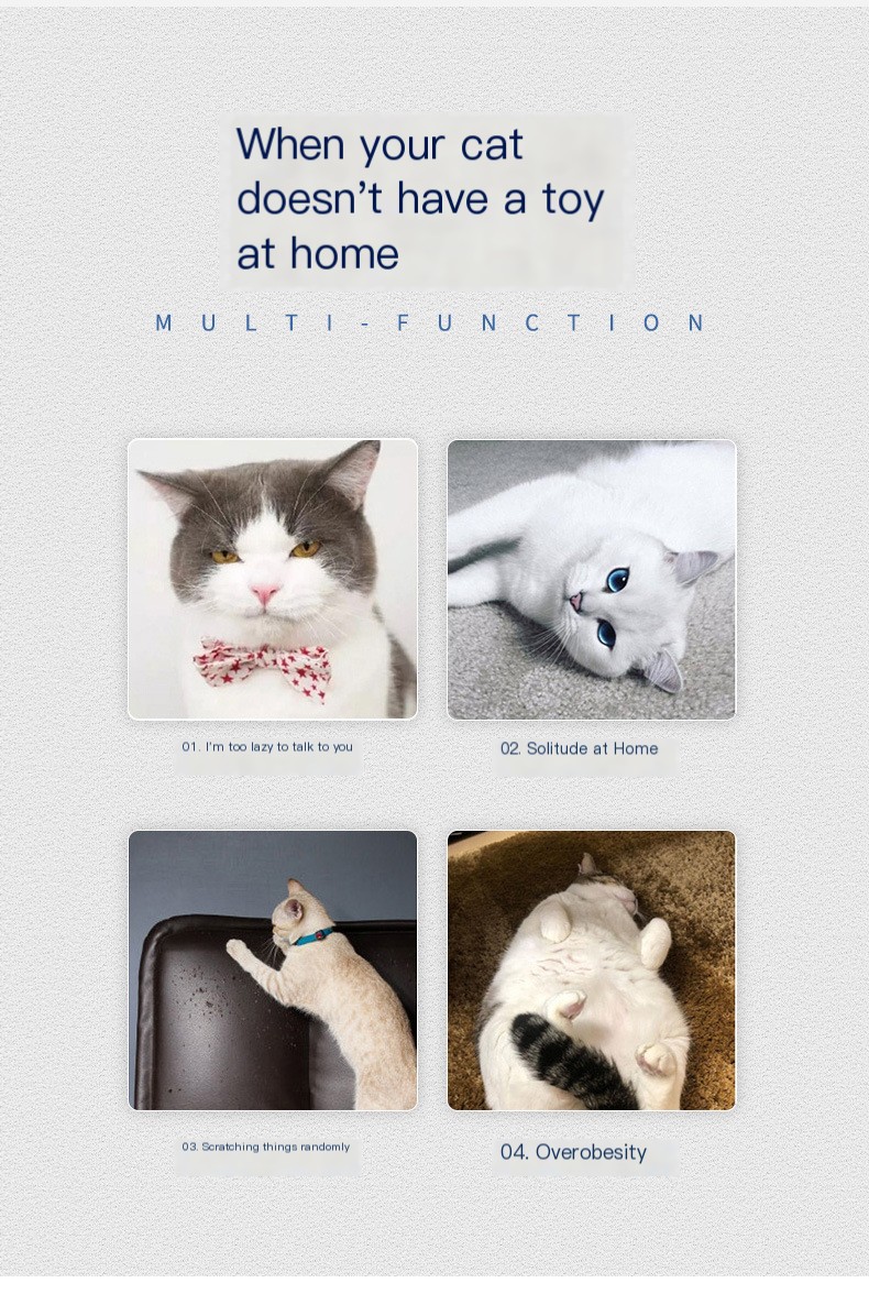 Cat Toy Image 2