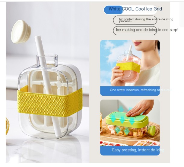 Cool Summer Ice Bottle Cup