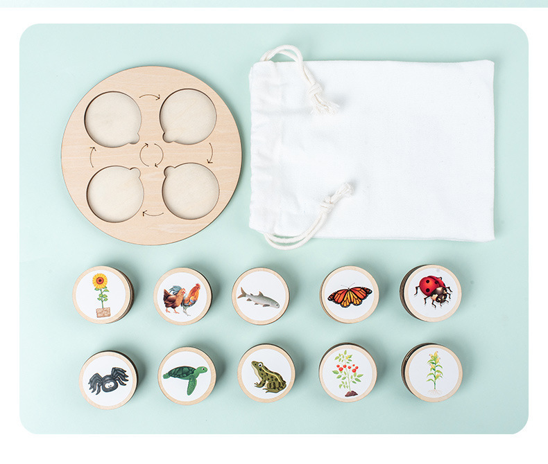 Montessori Wooden Puzzle Image 4