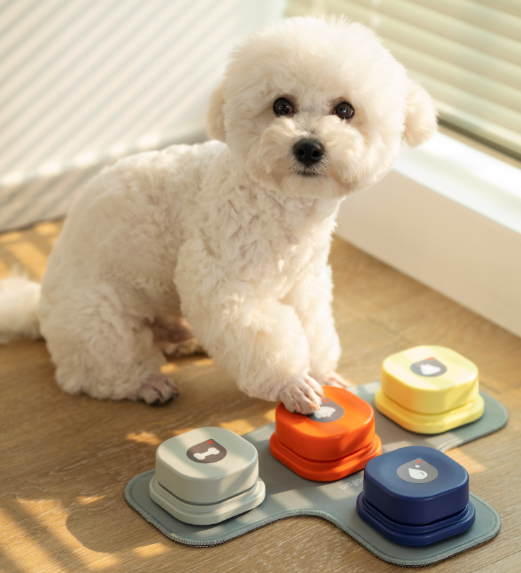 Pet Communication Button Image 2