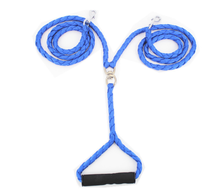 Leash Color 2