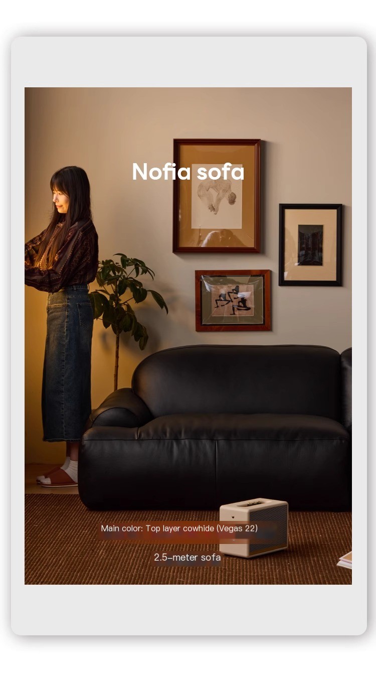 Sofa Image 1