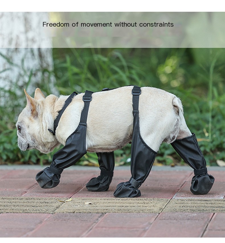 Comfortable dog shoes