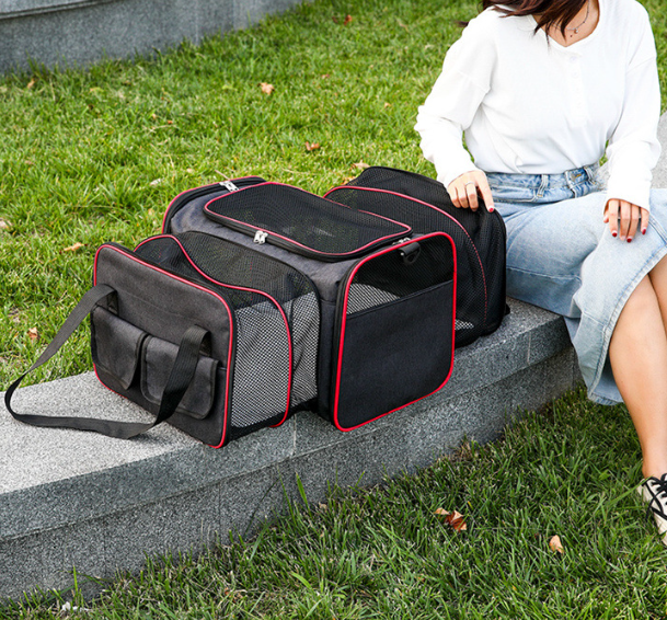 Portable Pet Carrier - Open