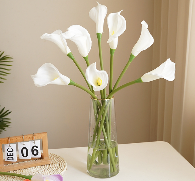 Calla Lily Image 1