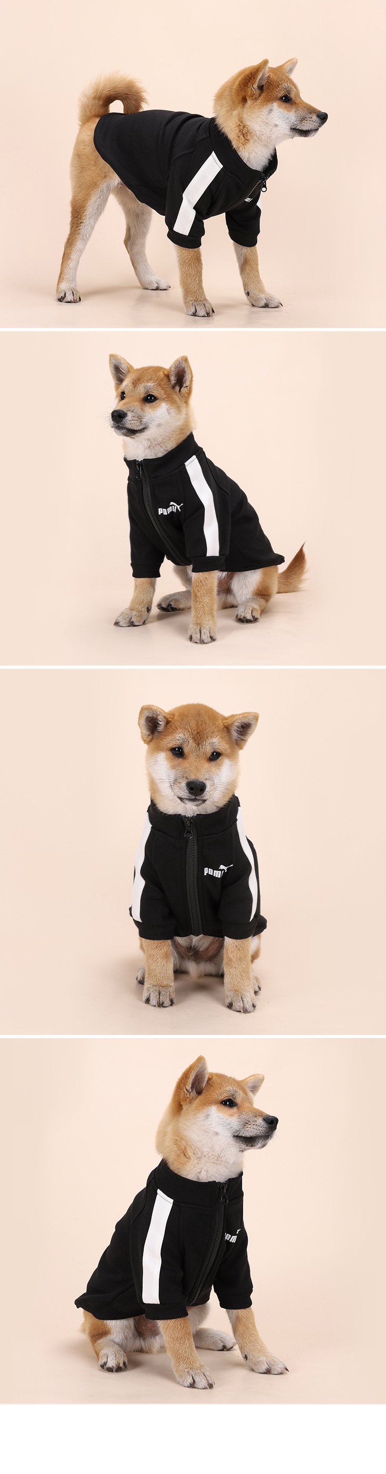 Dog Tracksuit Style 1
