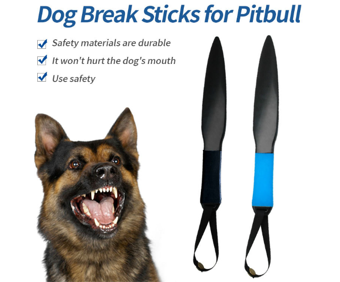 Training Tool Image 4