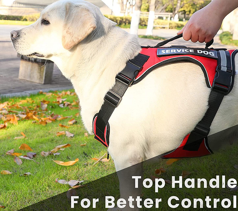 K9 Chest Harness Image 2