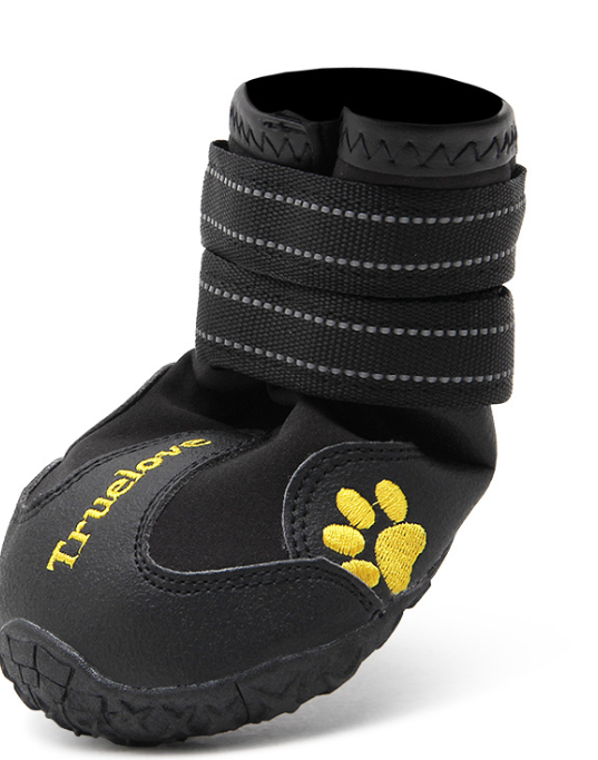 Dog Shoe 2