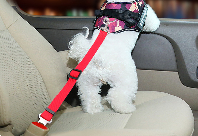 Dog Safety Buckle Image 3