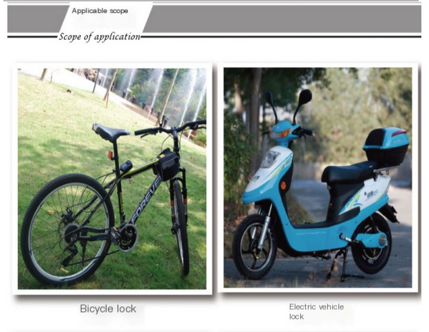 Anti-theft Lock Image 4