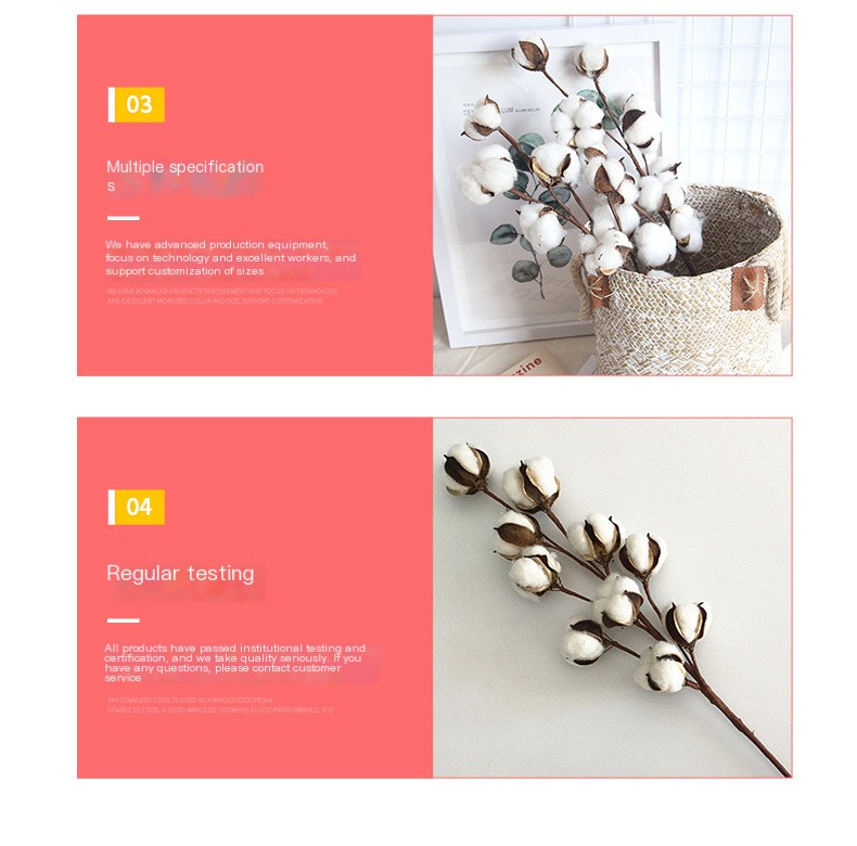 Cotton Dried Flower 7