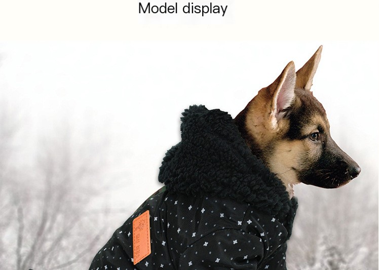 Cozy Pet Outfit
