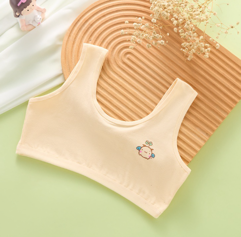 Bra Image 2