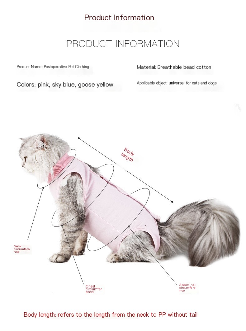 Weaning Clothes for Female Cats - Image 2