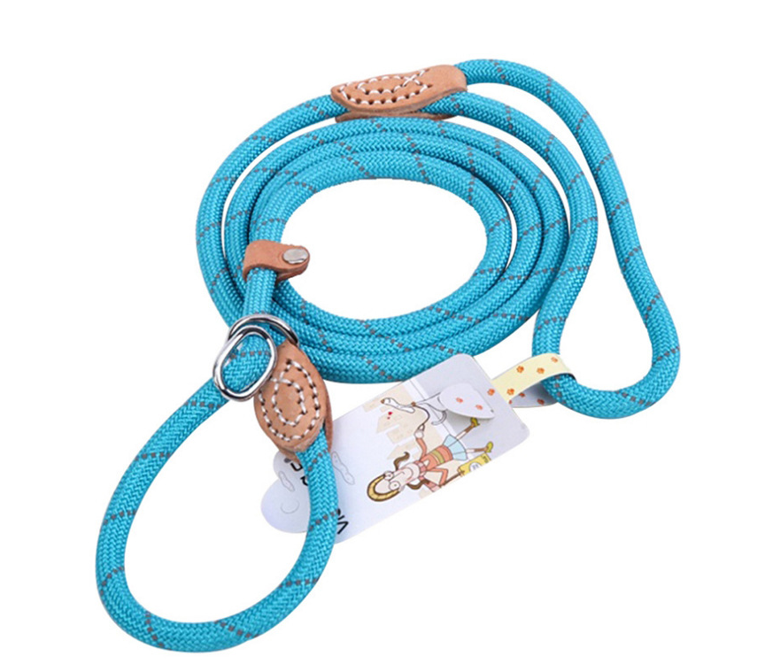 Reflective Dog Leash Orange