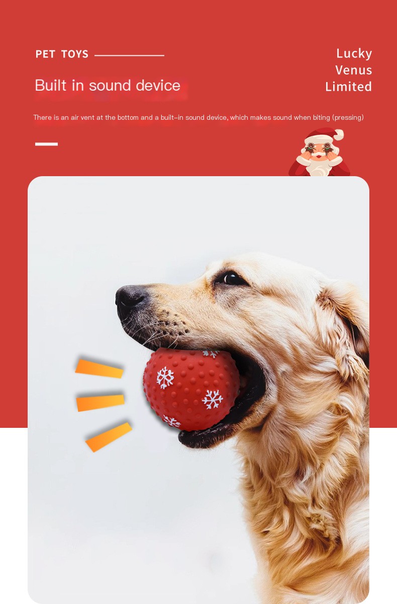 Pet Fun