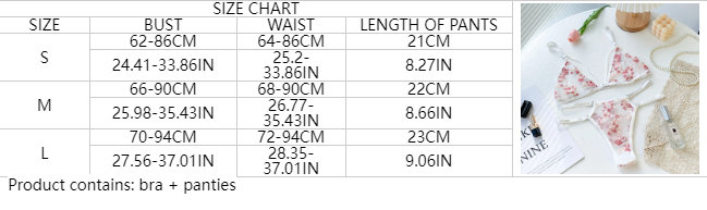 Bra and Panties Set Image 1