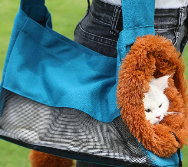 Pet Outing Backpack Bag