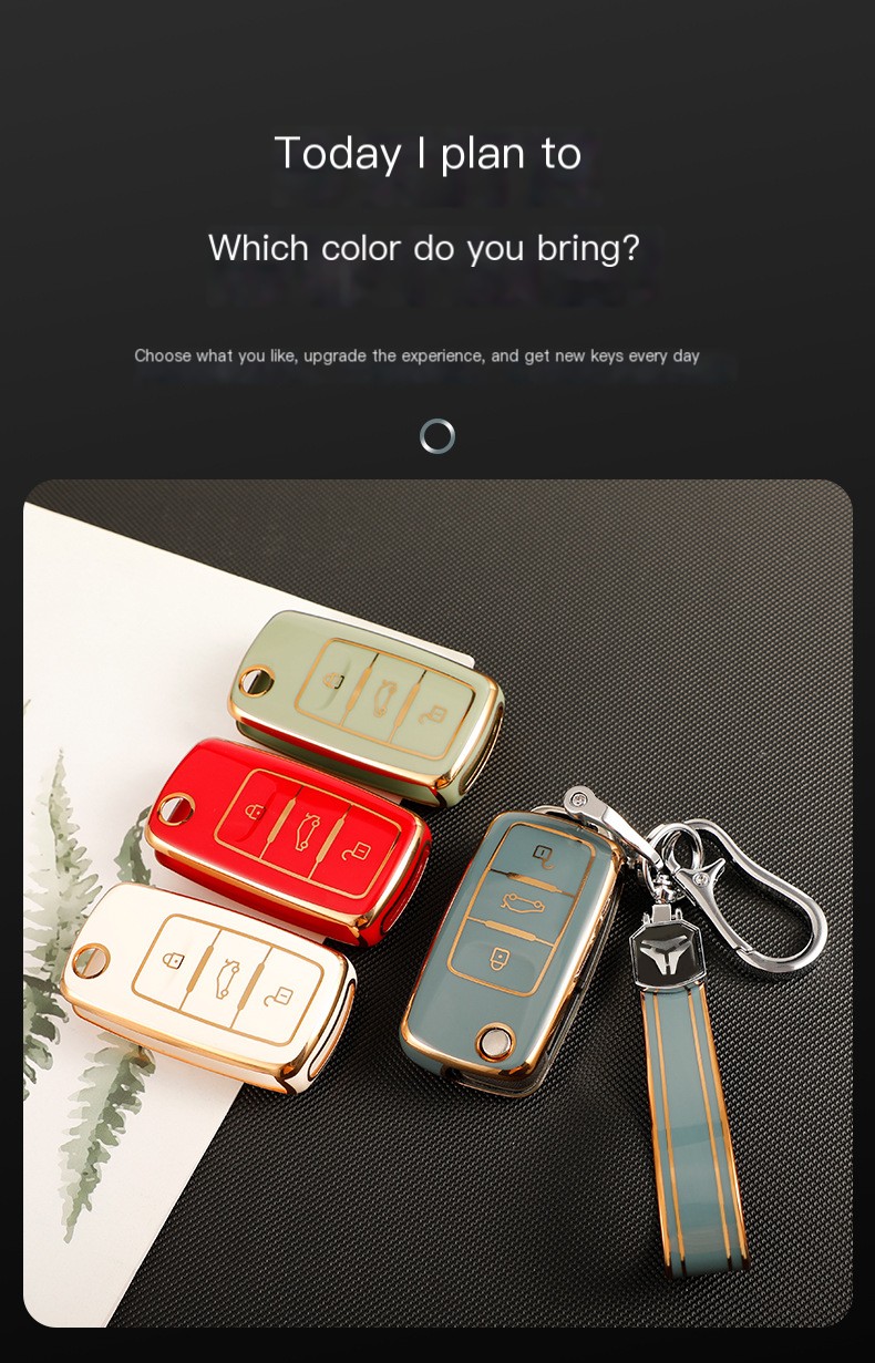 Volkswagen Key Case Close-up