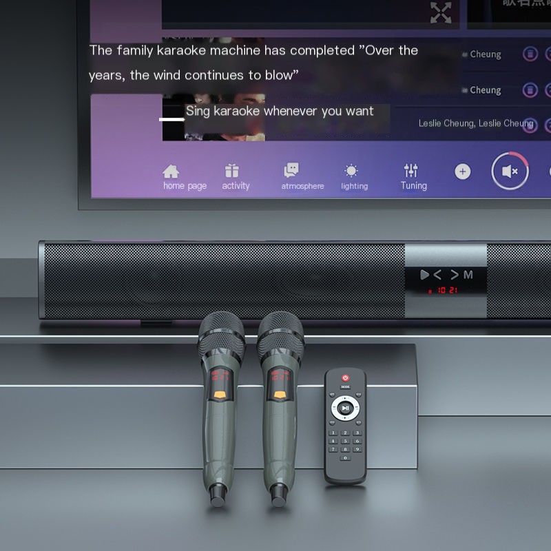Karaoke Microphones