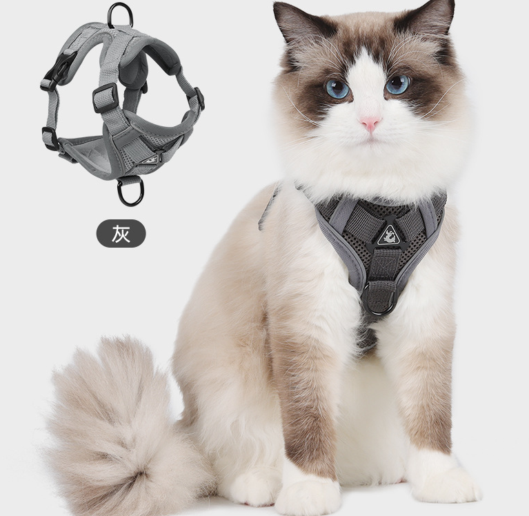 Cat Harness 3