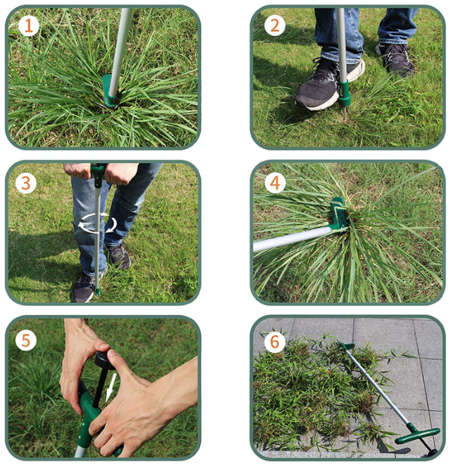 Walensee Weed Puller Image 2