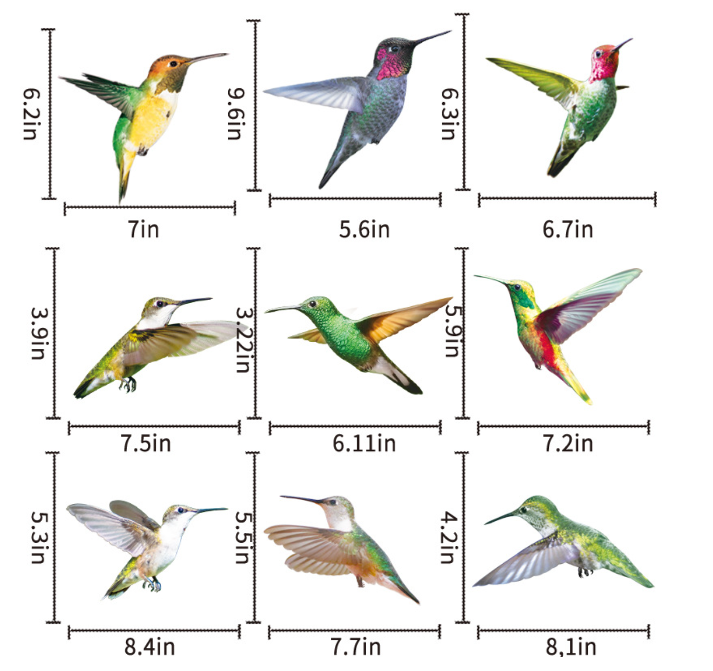 Hummingbird Window Stickers
