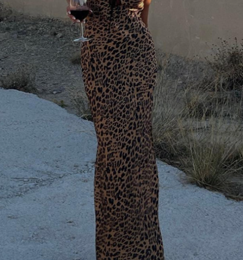 Leopard Print Dress 4