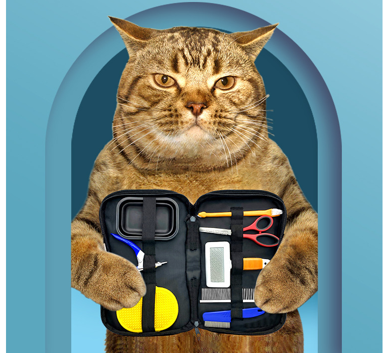 Pet Grooming Tools Set Image 1