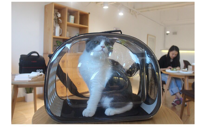 Pet Carrier Image 1