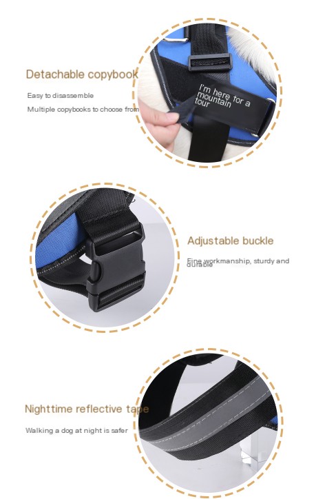 Dog Leash Color Variations