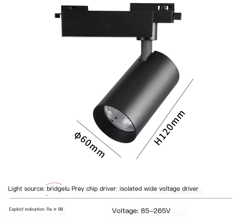 Track Lighting Features