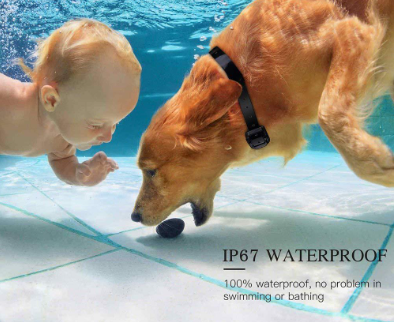 Electronic Bark Control Collar