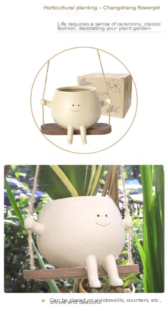 Whimsical flower pot for succulents