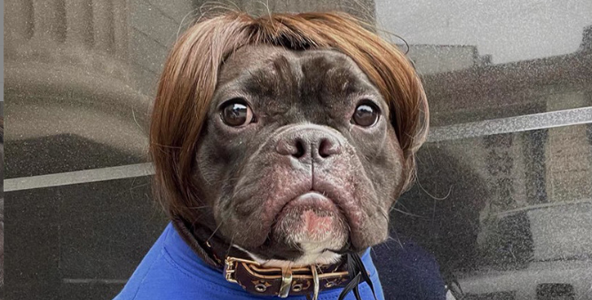 Brown short hair wig