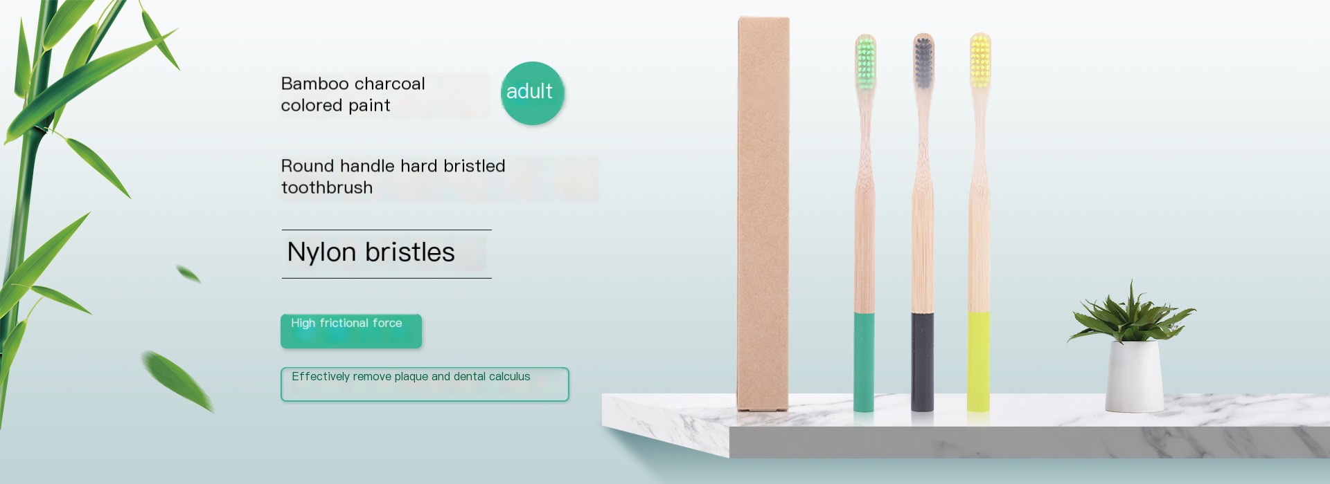 Bamboo Toothbrush