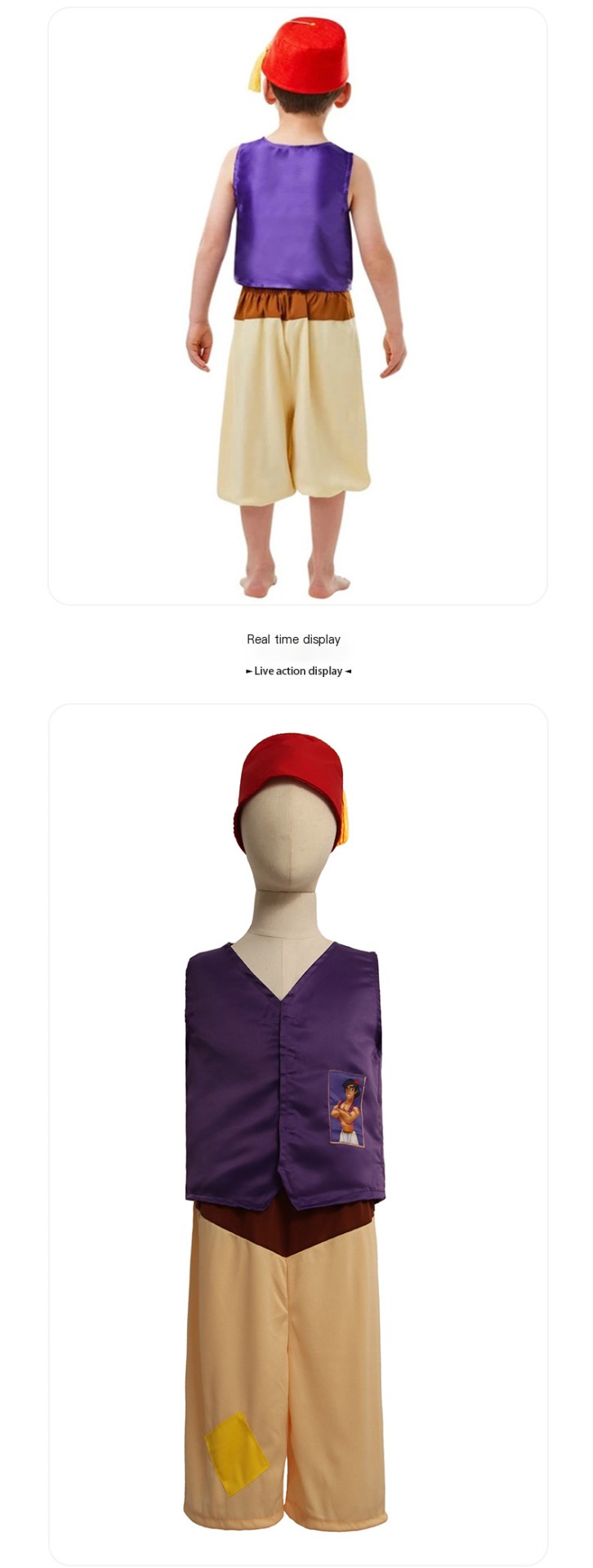 Aladdin Costume