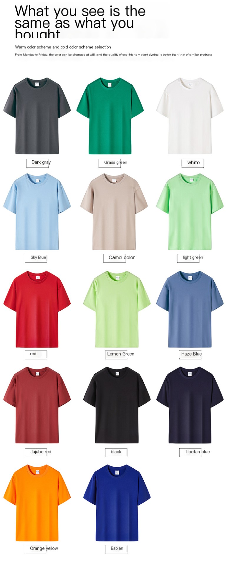 Chic T-Shirt Image 3