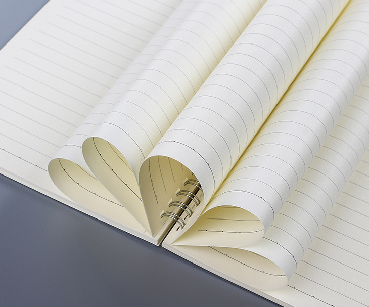 Notebook Inside View
