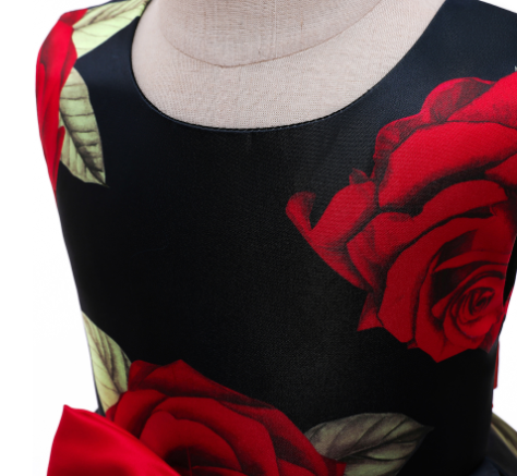 Princess Dress Image 3