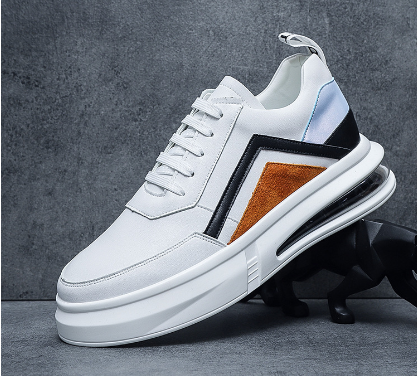 Classic Men's Canvas Sneakers 2