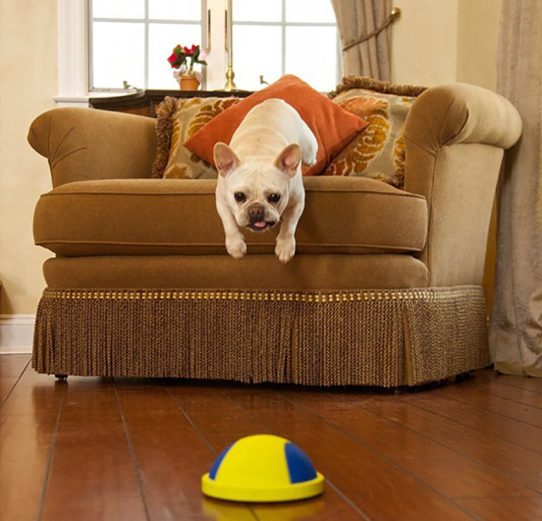 Pet Toy Ball Image 2